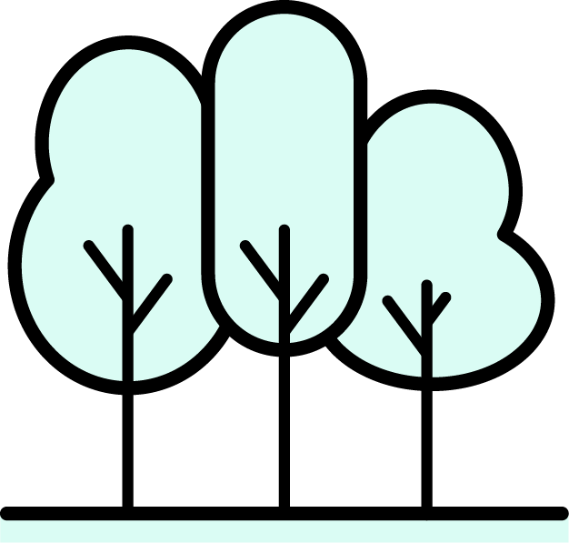 Carbon Compensation & Carbon Footprint NooS