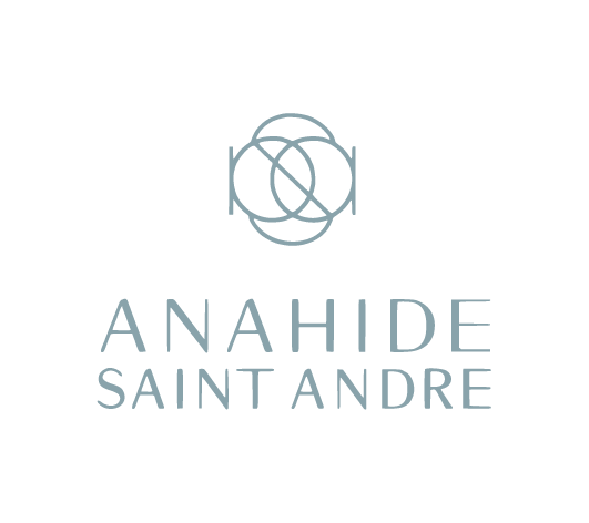 anahide saint andre client