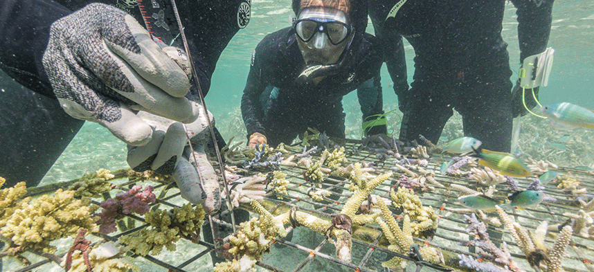 Project_Protect-coral-reefs-and-support-local-communities